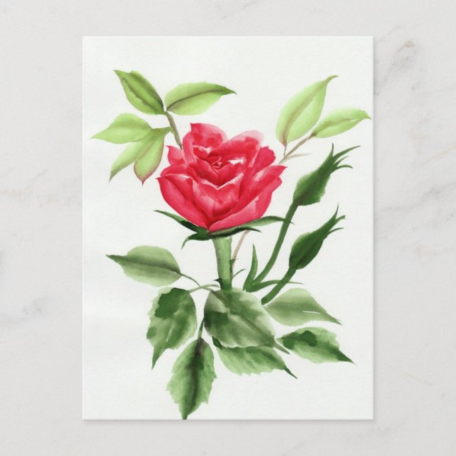 Carte Postale Rose rouge (Devant)