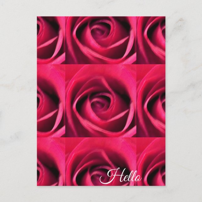 Carte Postale Rose rouge (Devant)