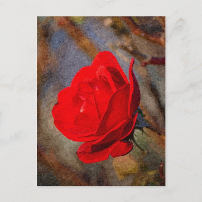 Carte Postale Rose rouge (Devant)