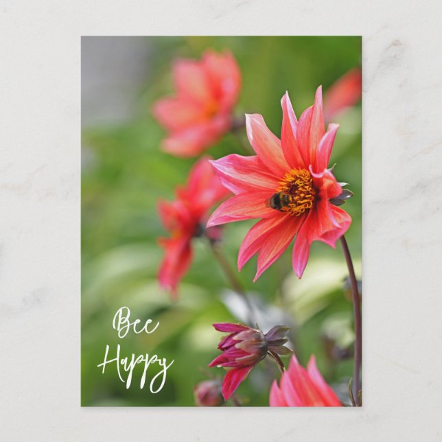 Carte Postale Rose & Rouge Dahlia Bee Joyeuses Fleurs Wisley (Devant)