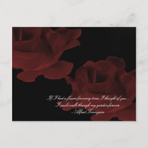 Carte postale Rose rouge foncé
