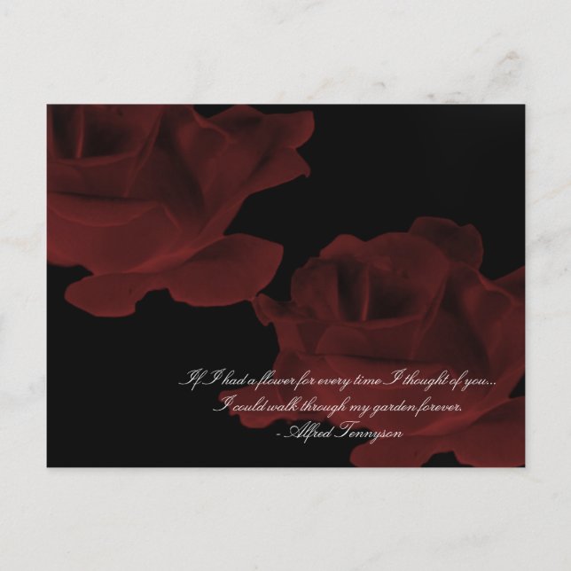 Carte postale Rose rouge foncé (Devant)