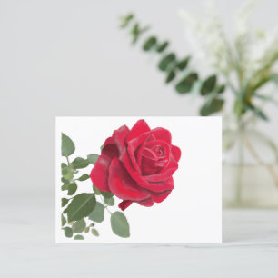 Carte Postale Rose rouge peinture