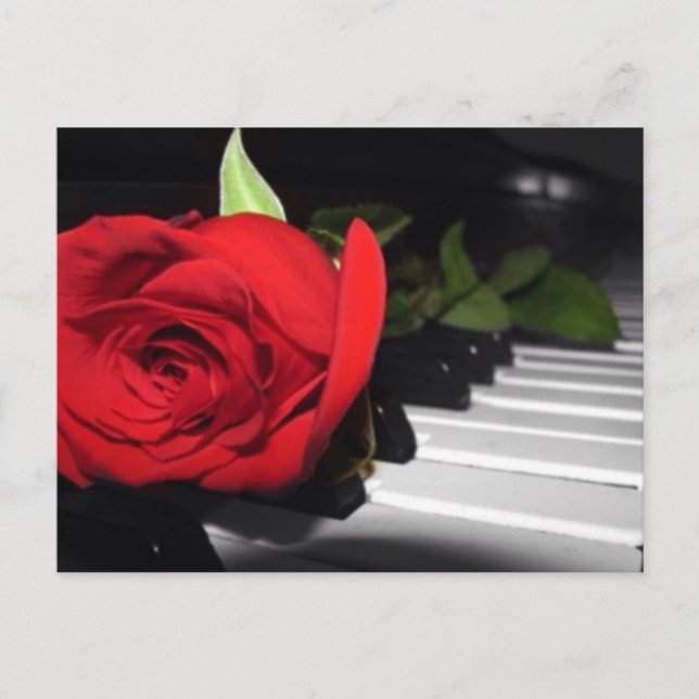Carte Postale Rose rouge sur piano (Devant)