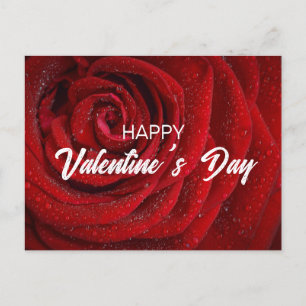 Carte Postale Rose rouge, Valentine