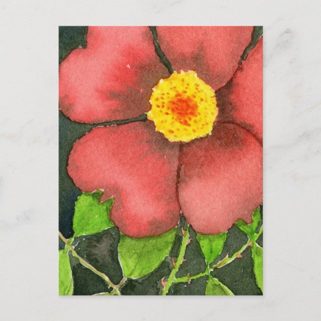 Carte postale Rose sauvage (Devant)