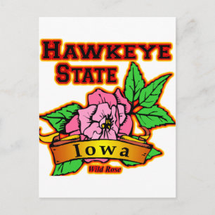 Carte Postale Rose sauvage de l'État d'Iowa Hawkeye