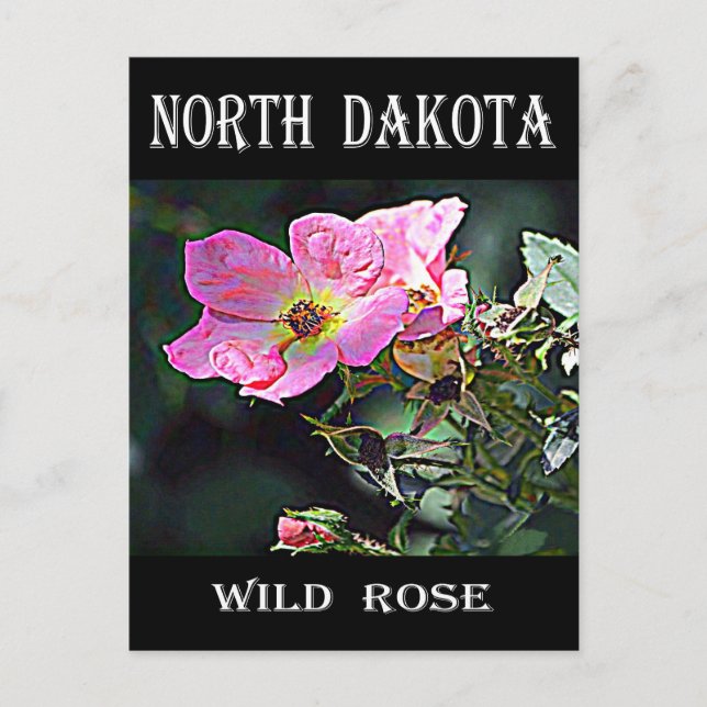 Carte Postale Rose sauvage du Dakota du Nord (Devant)
