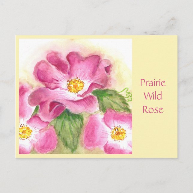 Carte postale Rose sauvage Prairie (Devant)