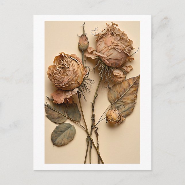 Carte postale Rose sèche (Devant)
