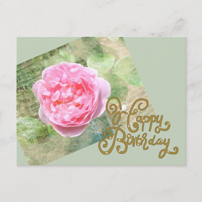 Carte Postale Rose sur le mur (Devant)