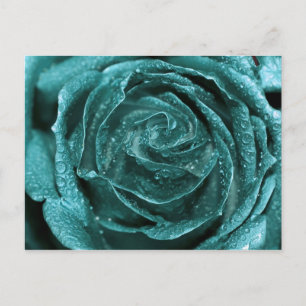 Carte Postale Rose Turquoise Imaginaire