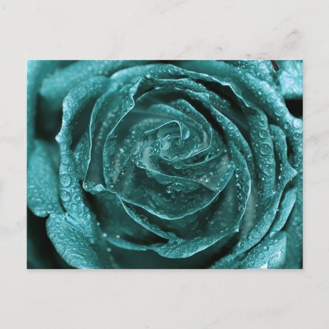 Carte Postale Rose Turquoise Imaginaire (Devant)