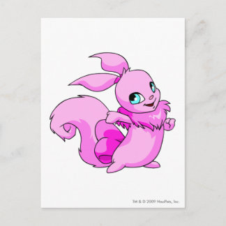 Carte Postale Rose Usul