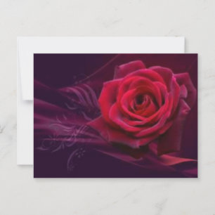 Carte postale Rose Velvet
