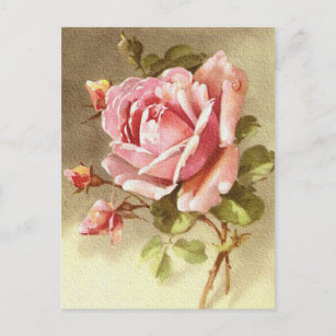 Carte Postale Rose victorienne texturale magnifique