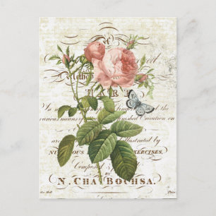 Carte postale rose vintage