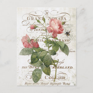 Carte postale rose vintage
