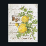 Carte postale rose vintage<br><div class="desc">Carte postale rose vintage</div>