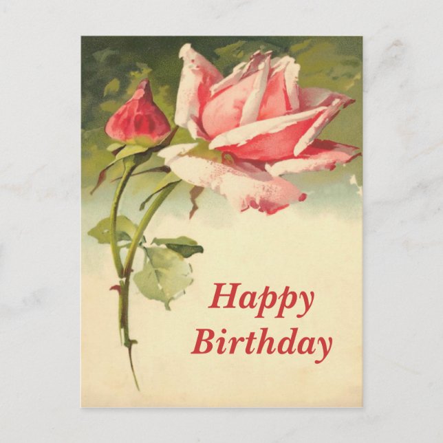 Carte postale rose vintage (Devant)