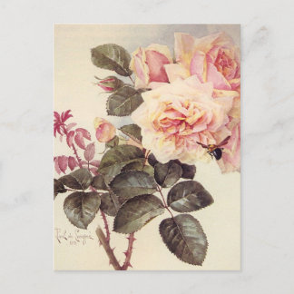 Carte postale Rose vintage