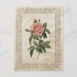 CARTE POSTALE ROSE VINTAGE I