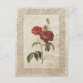 CARTE POSTALE ROSE VINTAGE II