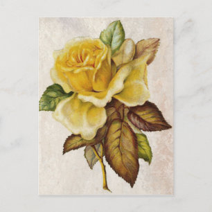 Carte Postale Rose Vintage jaune