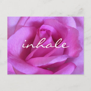 Carte Postale Rose violet Fleur Rose Gras Photo Inhale Script
