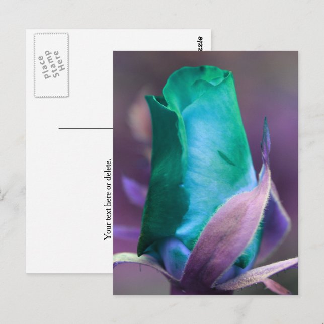 Carte Postale Rosebud Turquoise Personnalisé (Devant / Derrière)