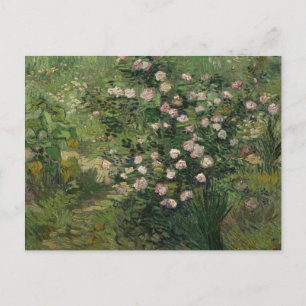 Carte Postale Rosebush à Blossom, Van Gogh Art