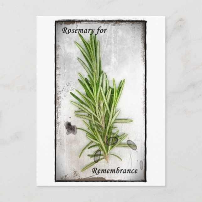Carte Postale Rosemary (Devant)