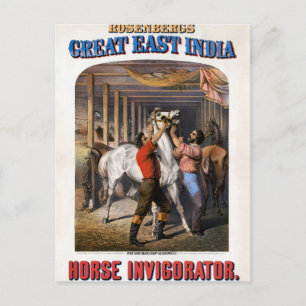 Carte Postale Rosenberg's Great East India Horse Invigorator.