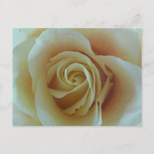 Carte Postale Rosentraum