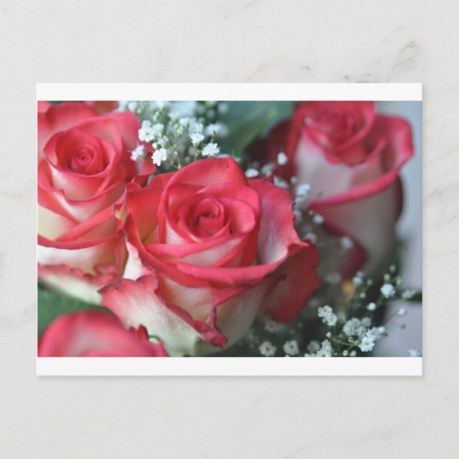 Carte Postale roses (Devant)