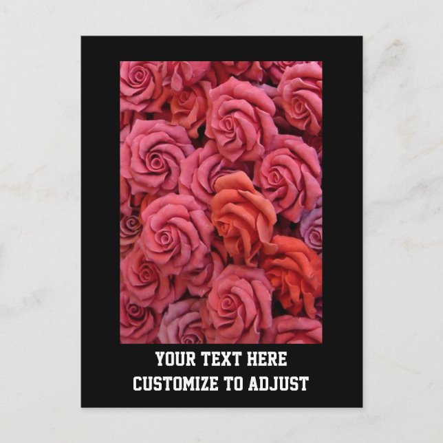 Carte Postale Roses à fleurs roses (Devant)