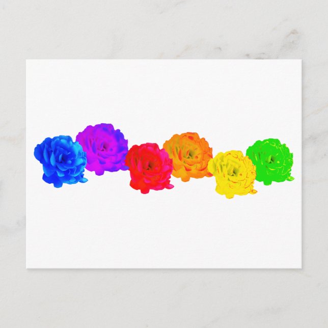 Carte Postale Roses Arc-en-Ciel (Devant)