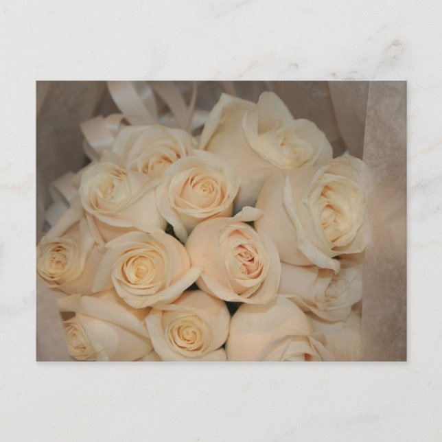 Carte postale Roses blanches (Devant)