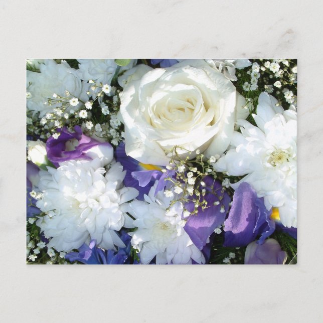Carte Postale Roses blanches | (Devant)
