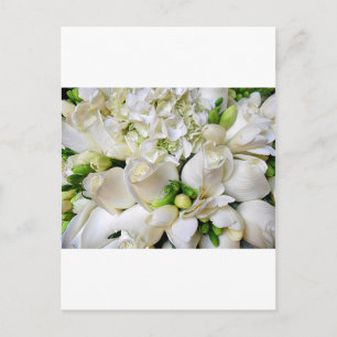 Carte Postale Roses blanches, Heureux_