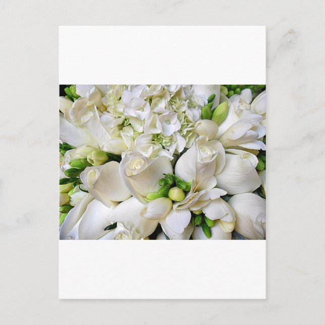 Carte Postale Roses blanches, Heureux_ (Devant)