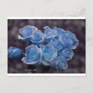 Carte Postale Roses brillants bleus contre un arrière - plan som