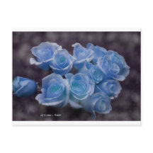 Roses brillants bleus contre un arrière - plan som