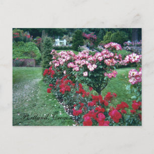 Carte Postale Roses d'arbres, Portland, Oregon