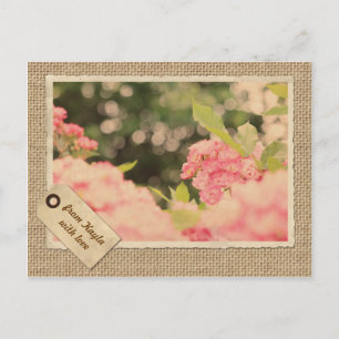 Carte Postale Roses d'arbustes roses Bokeh Vintage cadre de papi