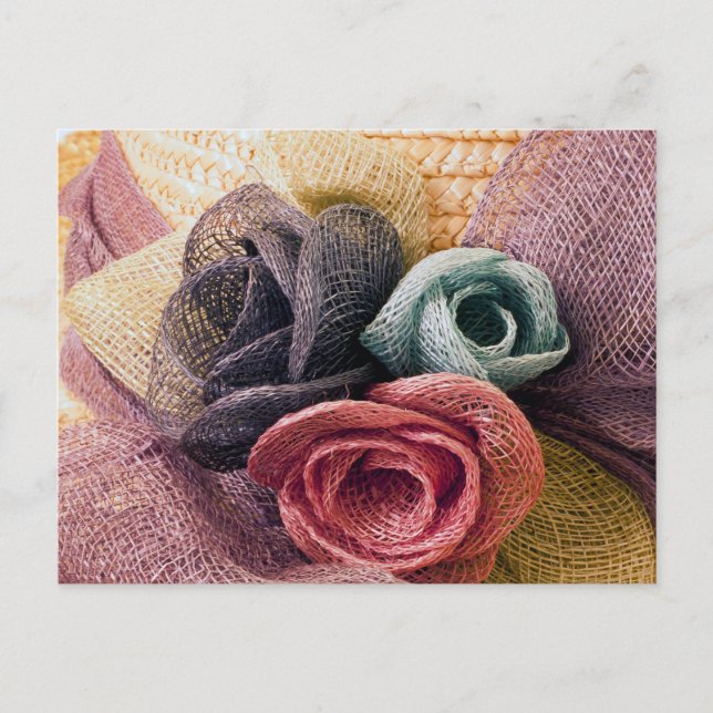 Carte Postale Roses de la Raffie (Devant)