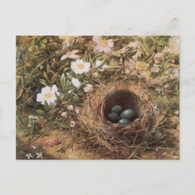 Carte Postale Roses de nids d'oiseaux et de chiens par John Will (Devant)