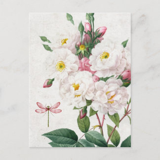 Carte Postale Roses et libellules roses et blanches vintages