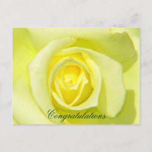 Carte Postale Roses jaunes_