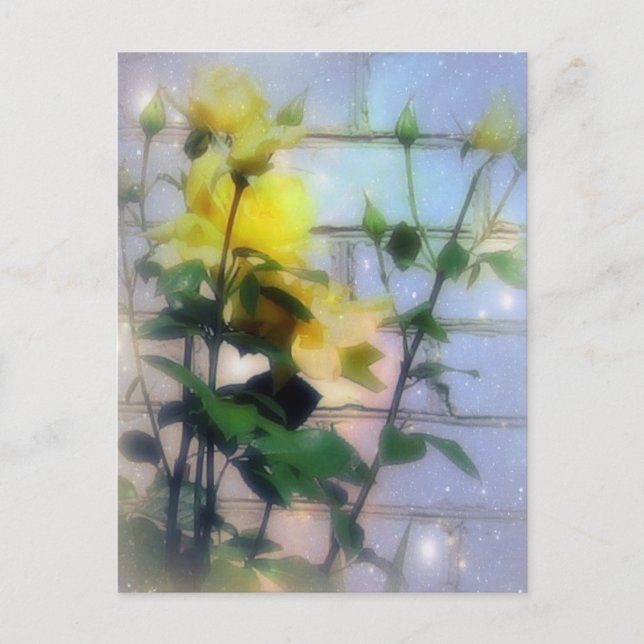 Carte Postale Roses jaunes (Devant)